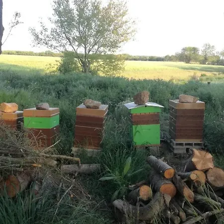 بيت للعطل La Petite Hugrie Le Vieux Marillais