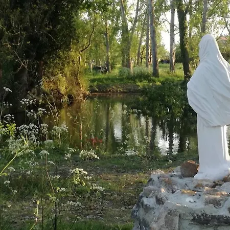 Grande Maison Avec Parc Et * Le Vieux Marillais